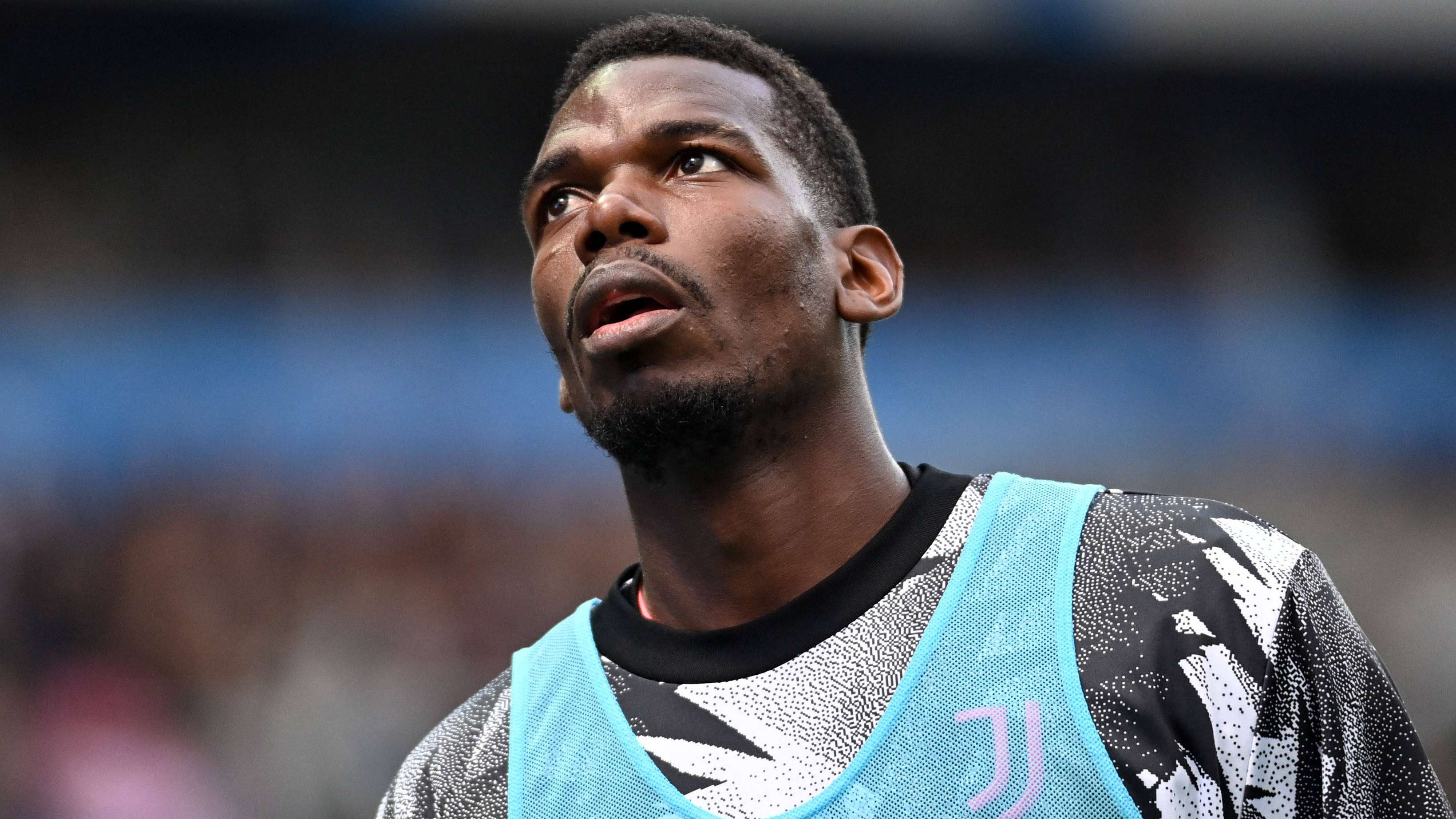 這也印證了 這也印證了