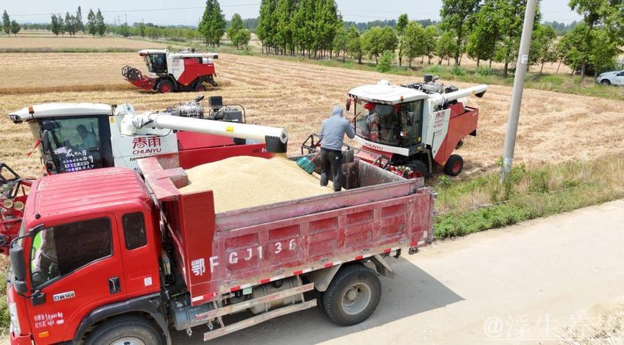 “三夏”中的新型生产力